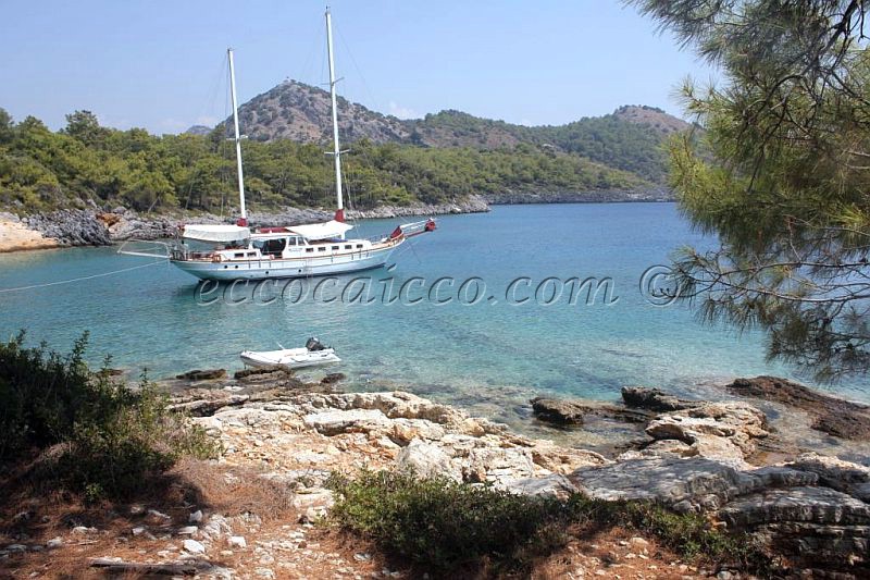 caicco caicchi goletta turchia turkey gulet gulets