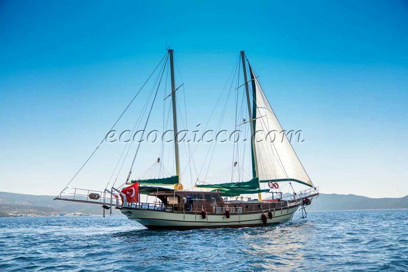 caicco caicchi goletta turchia turkey gulet gulets