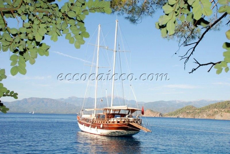 caicco caicchi goletta turchia turkey gulet gulets
