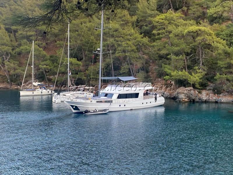 caicco caicchi goletta turchia turkey gulet gulets