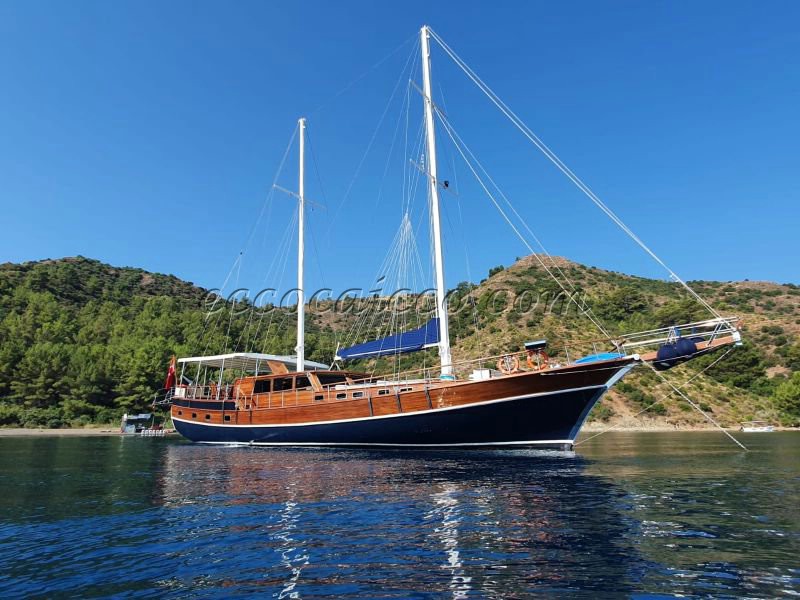 caicco caicchi goletta turchia turkey gulet gulets