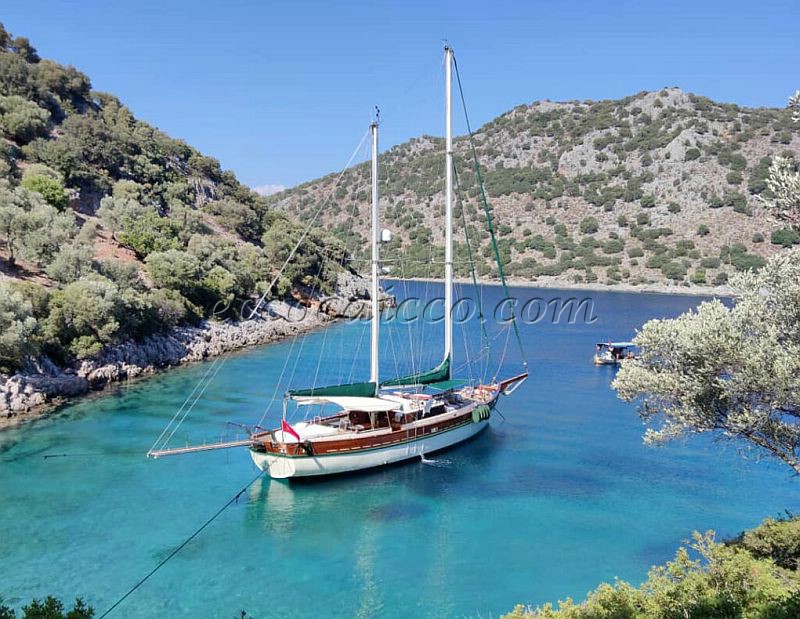 caicco caicchi goletta turchia turkey gulet gulets